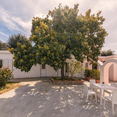 Casa Yucca Villa Forio di Ischia Eksteriør bilde